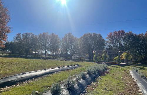 The Cottage at Dragonfly Farm - Foto 11