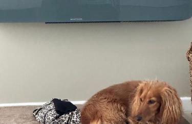 The Boat Cottage - private beach access - Foto 7