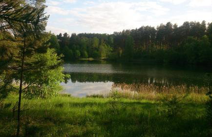 Dom Nad Jeziorem Staw - Foto 25