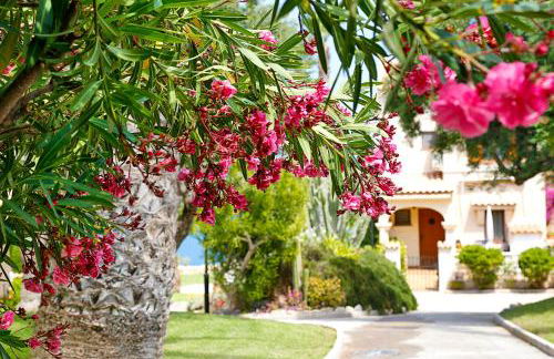 Lighthouse View II - Foto 57