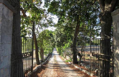 Masseria Trulli&Stelle B&B - Foto 24