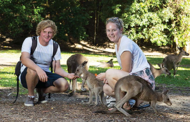 Excursion au parc Hartley's Crocodile Adventures - Photo 6