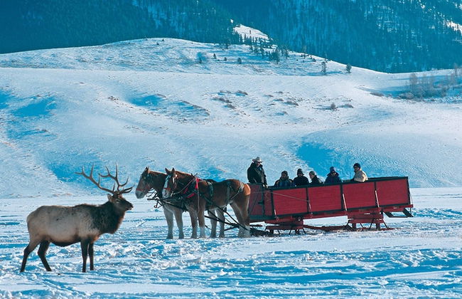 Teton Private Residences - Foto 53