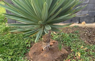 Schone Klimatisierte Ferienwohnung - Foto 25