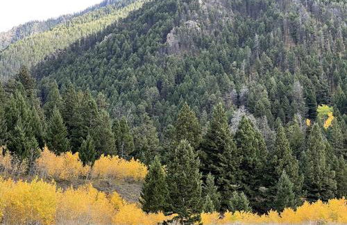 Scenic Vacation Cabin with 360° Mountain Views near Yellowstone National Park in Madison River Valley, Montana - Foto 31
