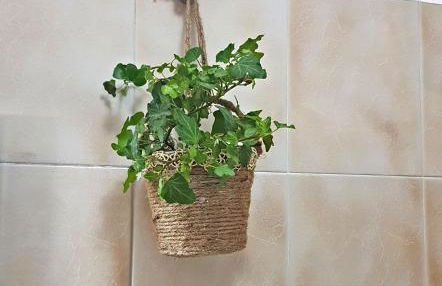 La Tana degli Orsetti - Foto 34