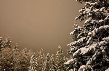 Przytulne Apartamenciki tuż przy Termach i Parku, nieopodal szlak na Turbacz, GPN, KGP - Foto 21