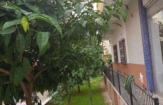 Alemara Apart - Foto 16