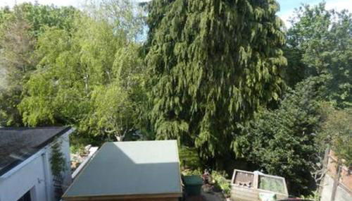 Ferney Croft - Foto 4