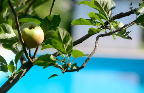 Capa da Encosta - Foto 36