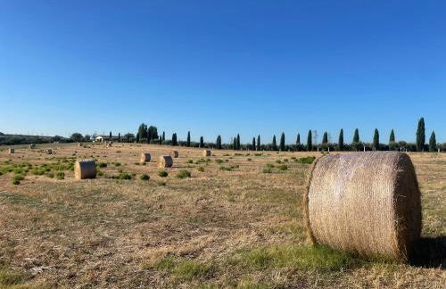 Tenuta Agave - Photo 13