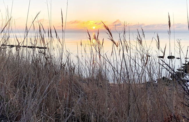 10 Person Holiday Home in Juelsminde-by Traum - Foto 41