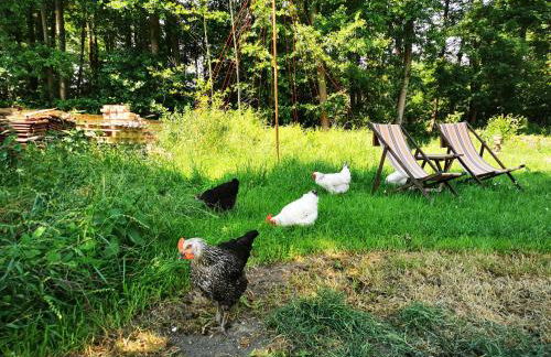 Fewo VOR DEM BERG Bergstraße 21 - Foto 35