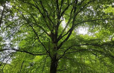 La Lisière Appartement 2 chambres - Foto 14