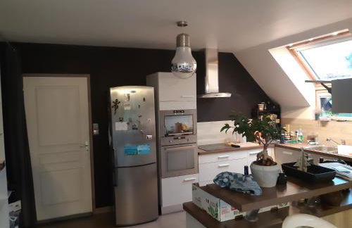 Villa la Salamandre - Jullouville - Foto 3