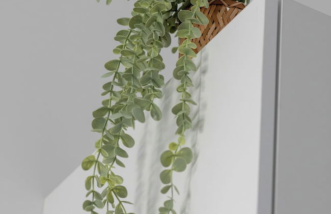 Beautiful Studio Apartments by Renters - Foto 23