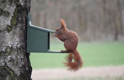 Flämingpanorama - Ländliches Gartenhaus mit Kamin und Naturpanorama - Photo 10