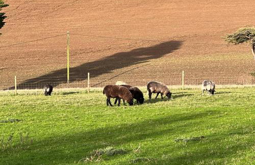 Poachers Hut 1-bed Cottage, Sleeps 2, Pet Friendly - Foto 37