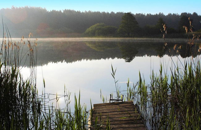Ferienhaus am Garder See Inselblick - Foto 34