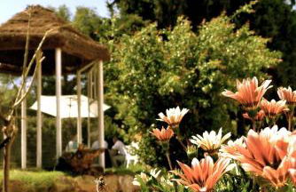 La Escribana - Photo 51