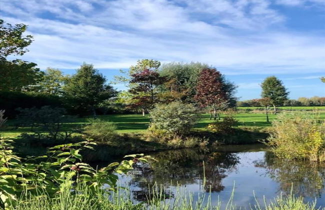 Holiday Home in Vrouwenpolder Near Beach - Foto 24