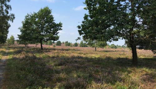 Ferienhof Timmerloher Heide - Foto 5