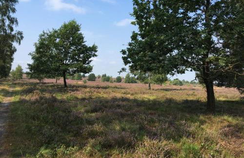 Ferienhof Timmerloher Heide - Foto 5