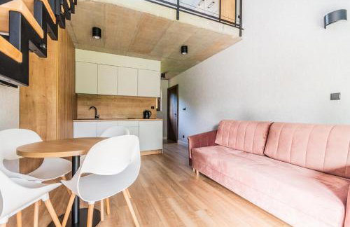 Apartamenty Gajówka- rowery, plac zabaw, sauna, jacuzzi - Foto 36