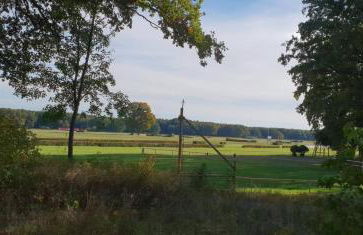 Haus im Grünen - Foto 16