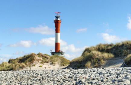 Hund im Glück - Foto 25