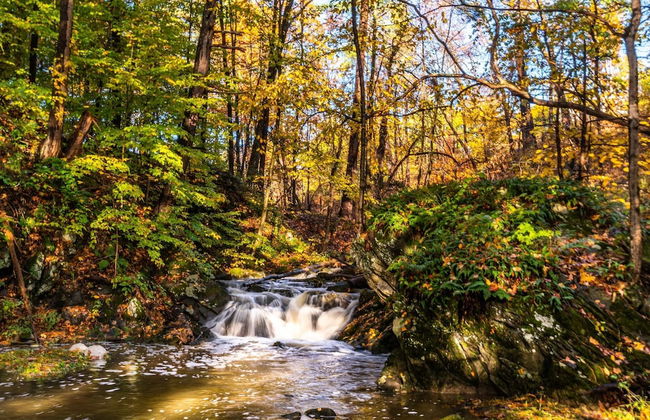 River Lodge by Avantstay 11 BR Historic Estate w/ Pool & Views of Hudson! - Foto 31