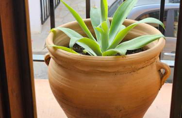 META VOLANTE - Foto 26