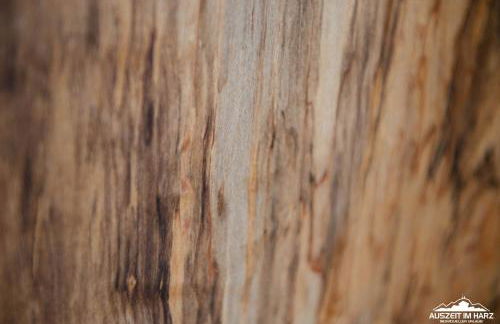 Auszeit im Harz Haus 1 Wohnung Feuerstein - Foto 17