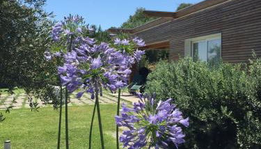CasaDuro - Foto 2, Garden, Garden view