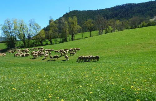 Gite " la prairie" - Foto 33