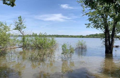 Cozy Cottage • King Bed • Grove • Kayaks • Boat Parking - Foto 5