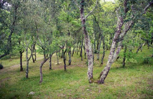 Le Mas de Cocody - Foto 39