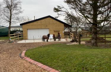 Green Little Acre - Foto 2