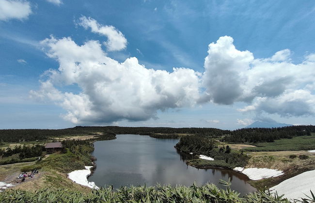 Cottage Alice - Foto 45