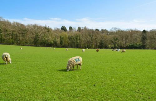 The Warren - Foto 23