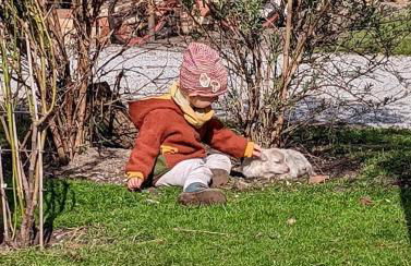 Helenes Ferienwohnung auf dem Bauernhof - Lausitzer Seenland - Foto 20