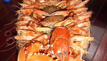 GITE DE LA CHALOUPE - Foto 2