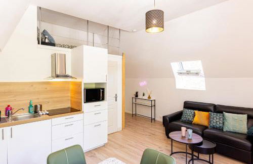 Mirabeau Sous Les Toits 2 - Tours - Photo 9