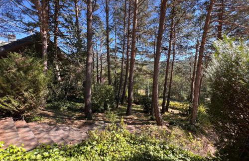 Villa Zocotin - Photo 6