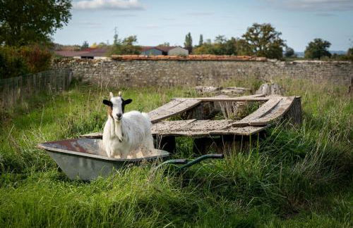 Le château - Foto 20