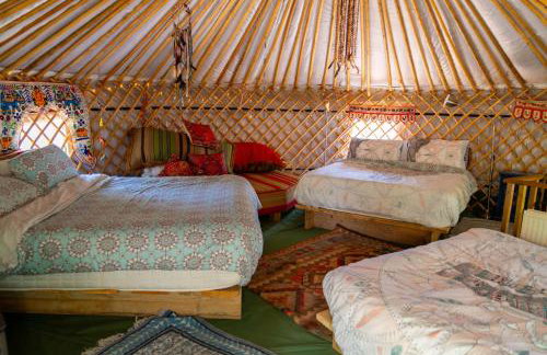 Hapus Yurt - Two Beautiful Yurts and Barn Cottage - Foto 21