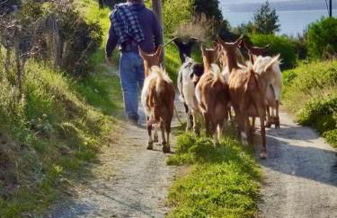 Lichada Villas - Foto 41