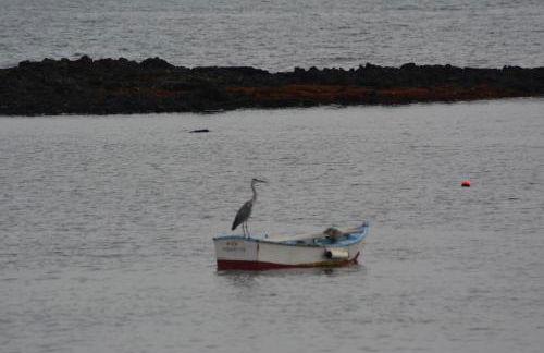 Ocean Sunshine - Foto 43