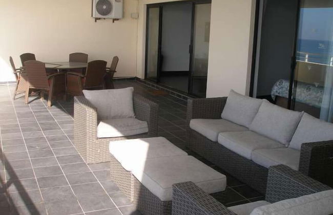 Lazy Lizard - Foto 19