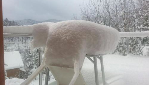 Holiday home in Hornberg with swimming pool - Foto 5, Other